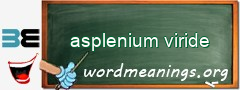 WordMeaning blackboard for asplenium viride